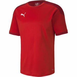 Puma TEAM FINAL 21 TRAINING JERSEY Férfi edzőpóló, piros, méret L