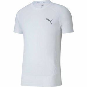 Puma EVOSTRIPE  TEE Férfi sportpóló, fehér, méret