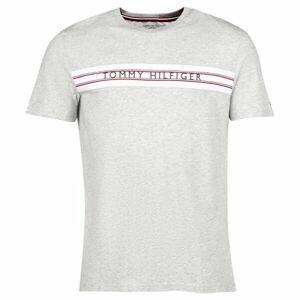 Tommy Hilfiger CLASSIC-CN SS TEE PRINT Férfi póló, szürke, méret M