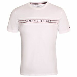 Tommy Hilfiger CLASSIC-CN SS TEE PRINT Férfi póló, fehér, méret M