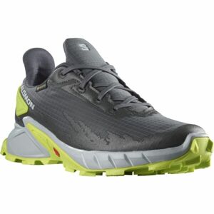 Salomon ALPHACROSS 4 GTX Férfi túracipő, szürke, méret 42